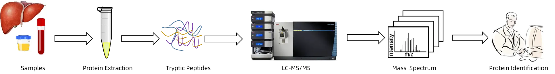 protein-profiling-analysis-service1.png