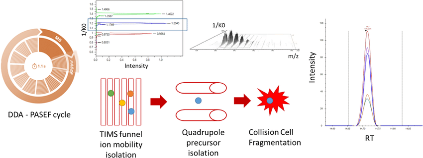 4d-prm-targeted-proteomics-analysis-services1.png