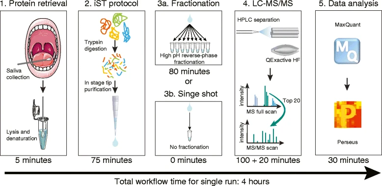 saliva-proteomics-solutions1.png