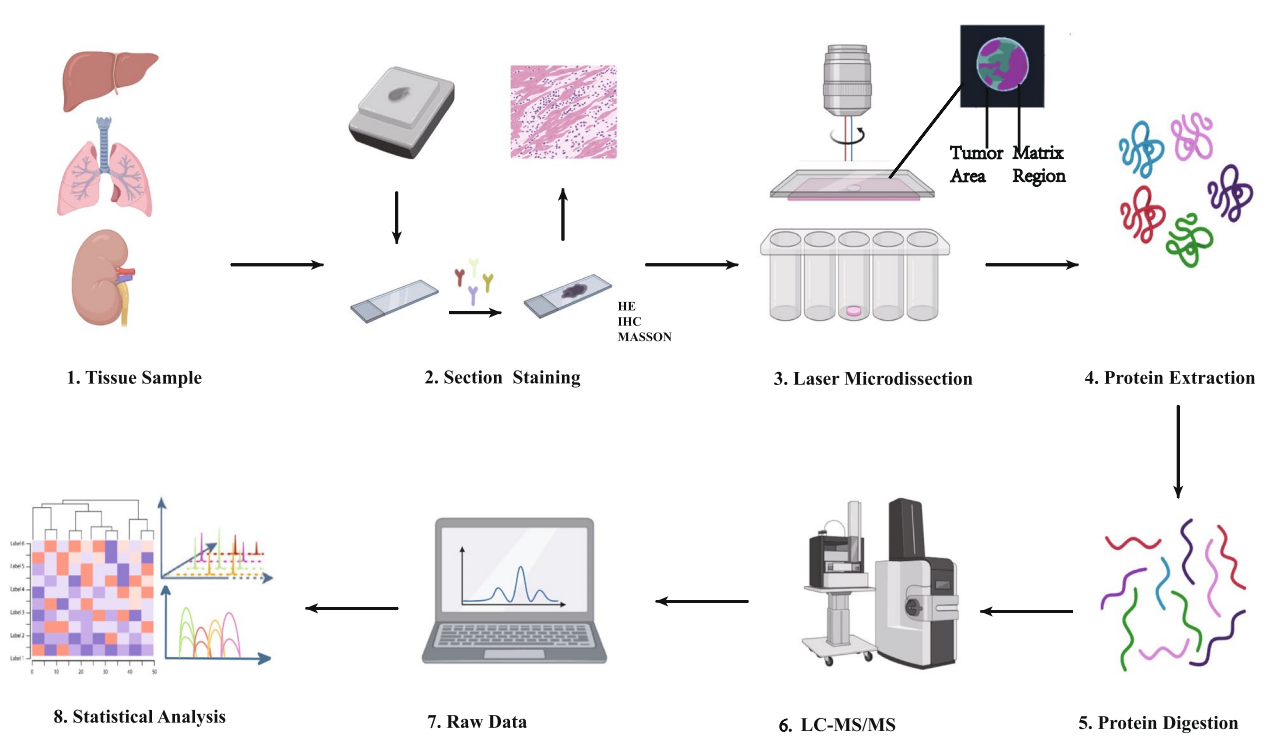2001533619066171392-spatial-proteomics-service3.PNG