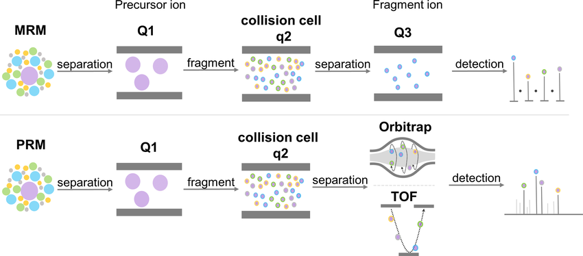 2001583366917386240-plant-targeted-proteomics-service1.png