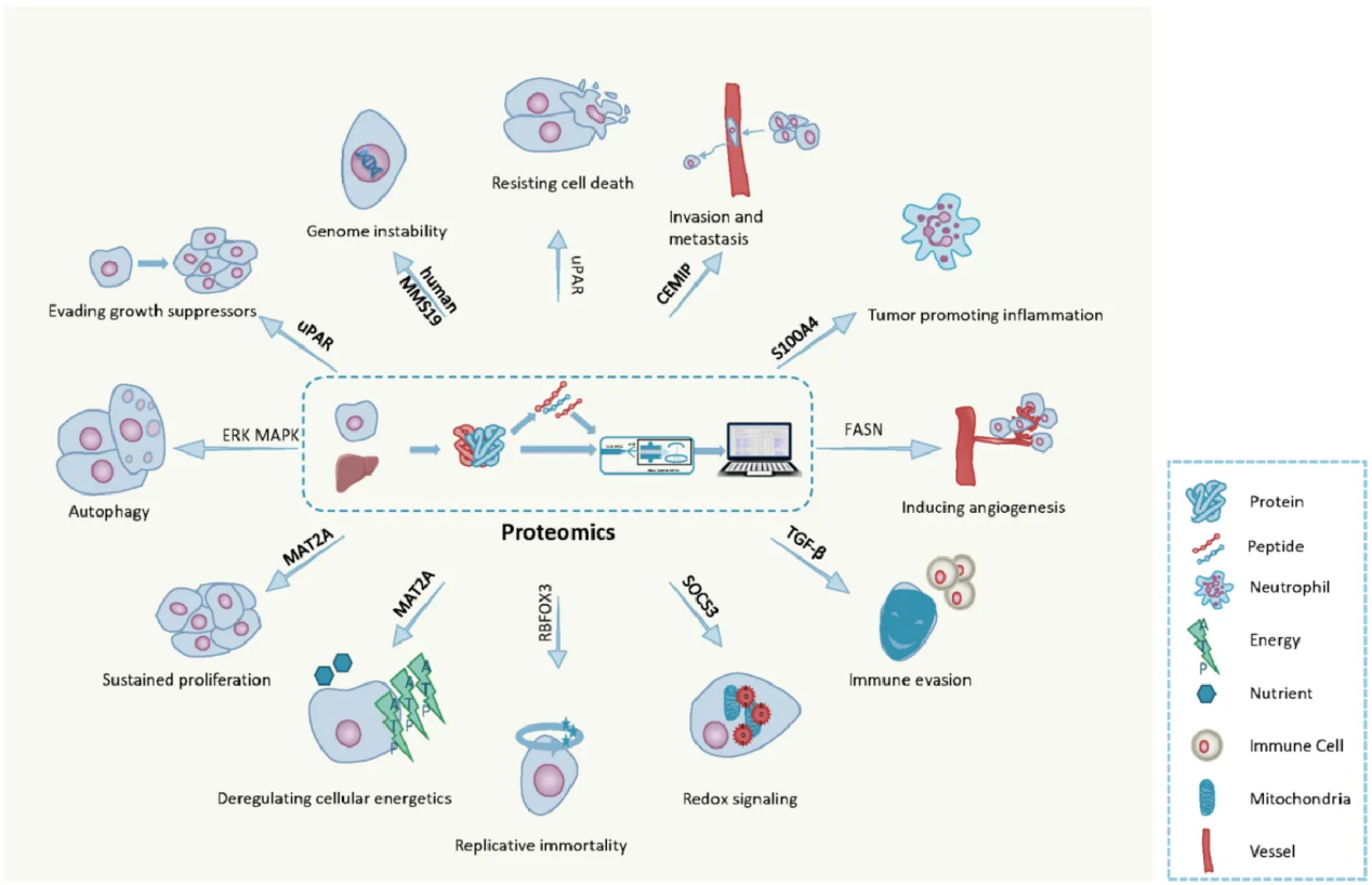 cancer-research1
