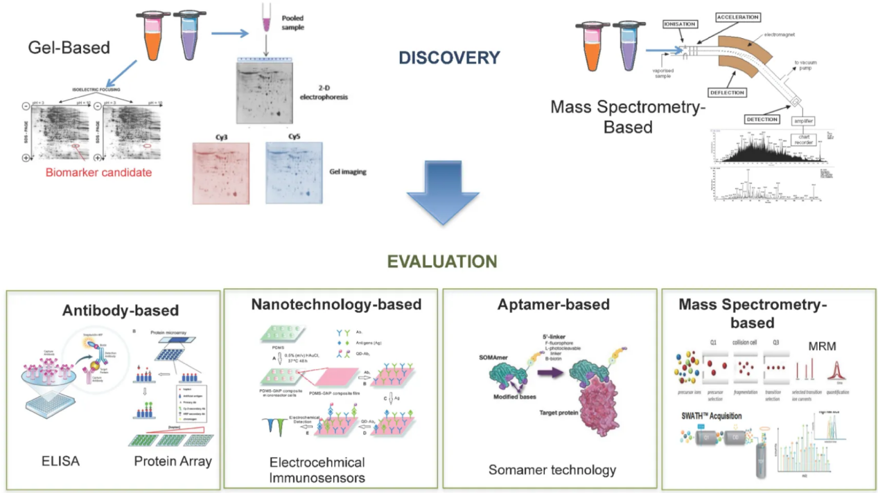 cancer-research2