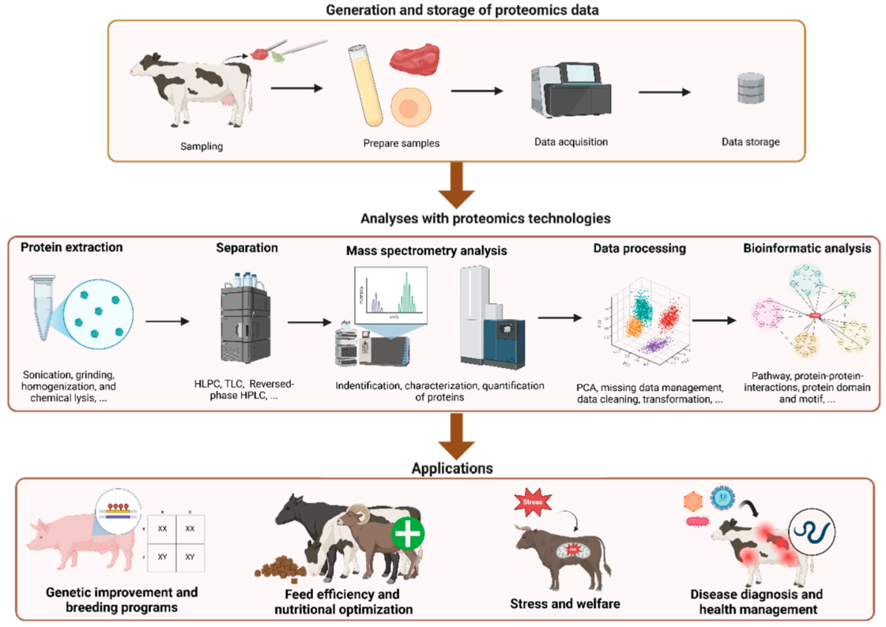 animal-research1
