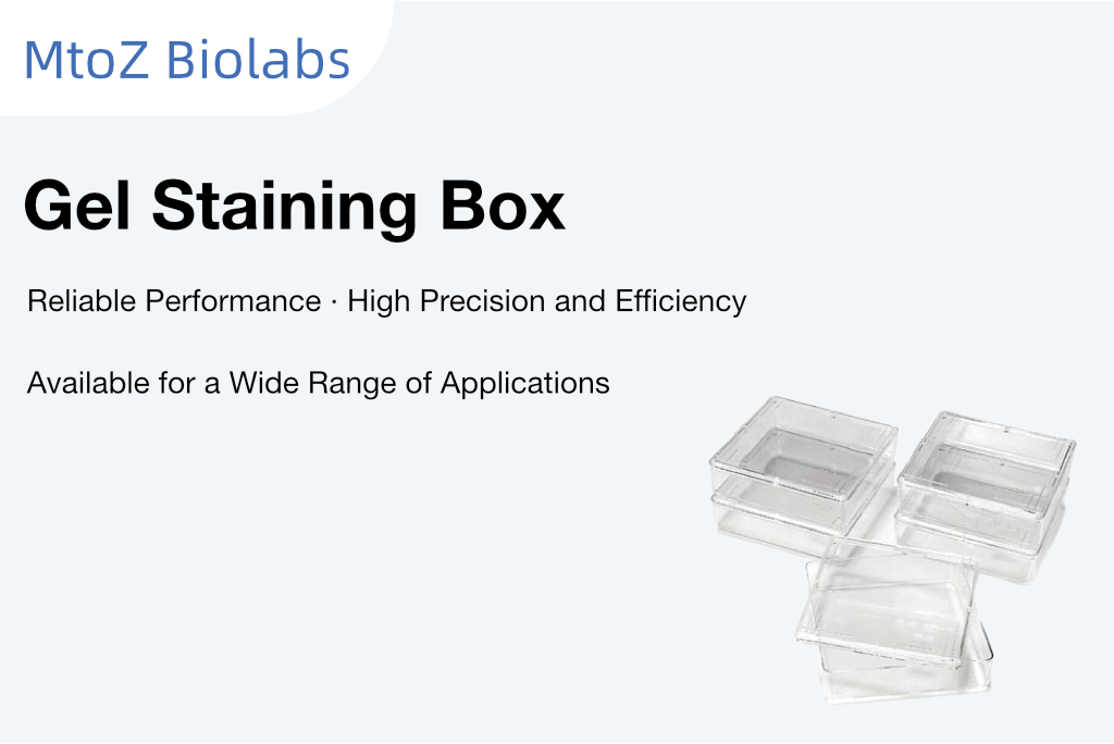 Staining Box Gel Staining Box