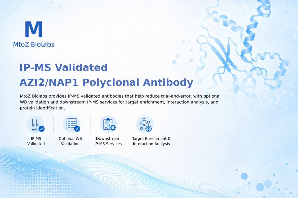 IP-MS Validated AZI2/NAP1 Polyclonal Antibody