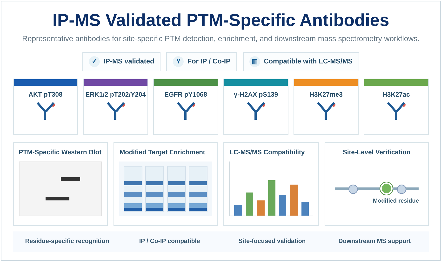 IP-MS Validated PTM-Specific Antibodies for Site-Specific PTM Detection and Enrichment