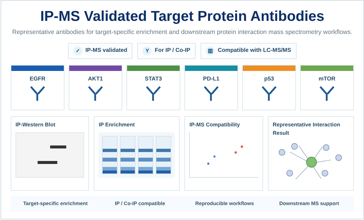 IP-MS Validated Target Protein Antibodies for IP, Co-IP, and IP-MS Workflows