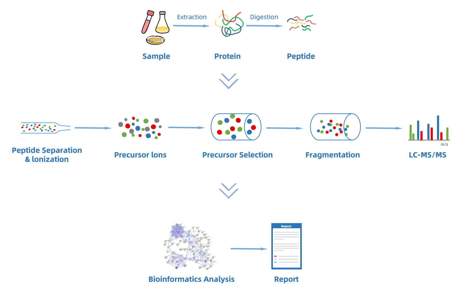 1997875253409861632-dia-quantitative-proteomics-analysis-service2.png