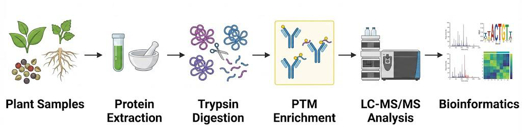 2001590303786127360-plant-post-translational-modifications-proteomics-service2.jpg