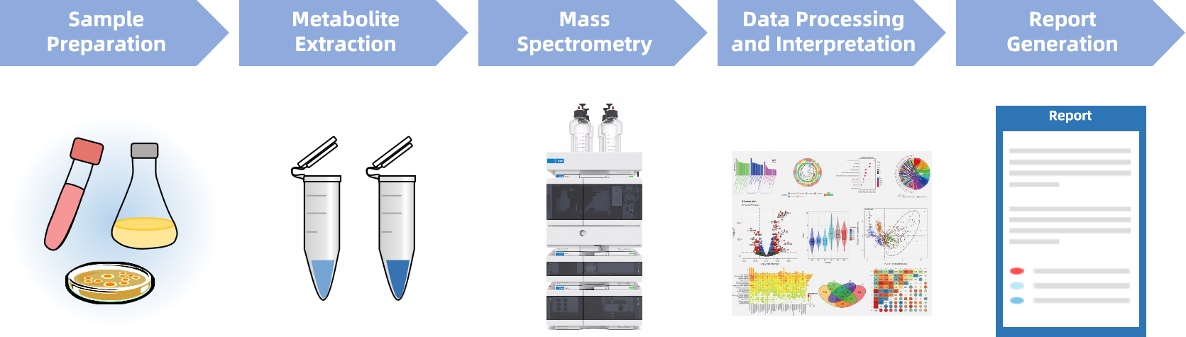 1831511426352140288-Workflowfor3,4-DihydroxymandelicAcidAnalysisService.png