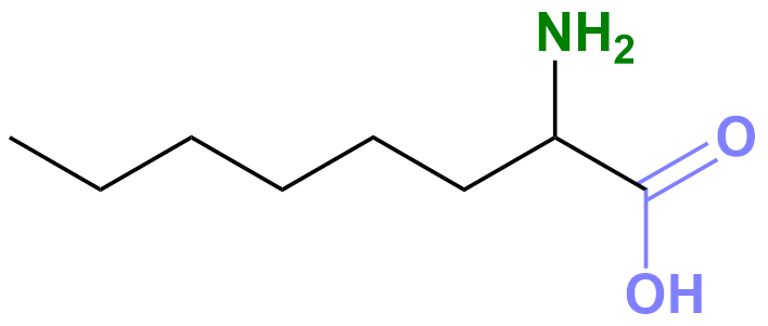 1831540502055997440-TheStructureof2-AminooctanoicAcid.png