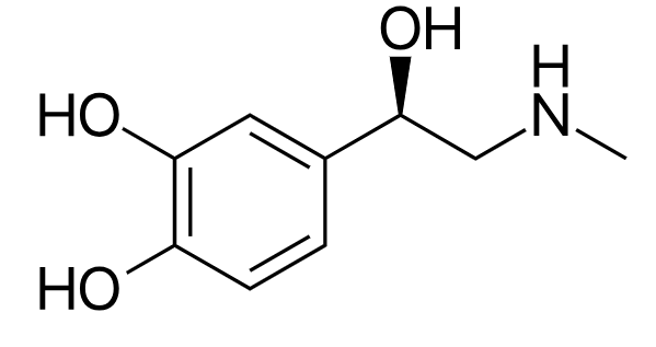 1831572248533258240-TheStructureofEpinephrine.png