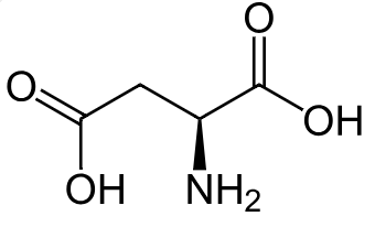 1831623021195546624-TheStructureofAsparticAcid.png