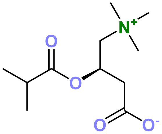 1831903803210321920-TheStructureofIsobutyryl-L-Carnitine.png