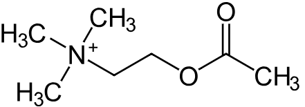 1831627824923529216-TheStructureofAcetylcholine.png