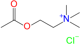 1831961425460449280-TheStructureofAcetylcholineChloride.png