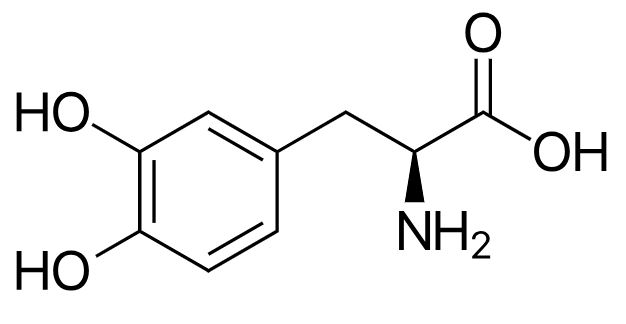 1831992285744189440-TheStructureofLevodopa.png