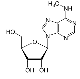 1833070222664912896-TheStructureofN-methyladenosine.png