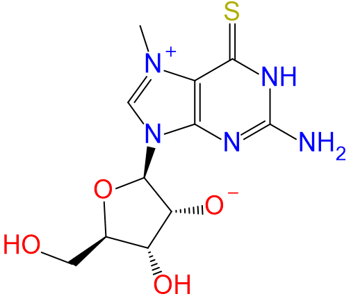 1833374105702354944-TheStructureof7-methyl-6-thioguanosine.png