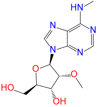 1833381888183095296-TheStructureofN6,2'-O-dimethyladenosine.png