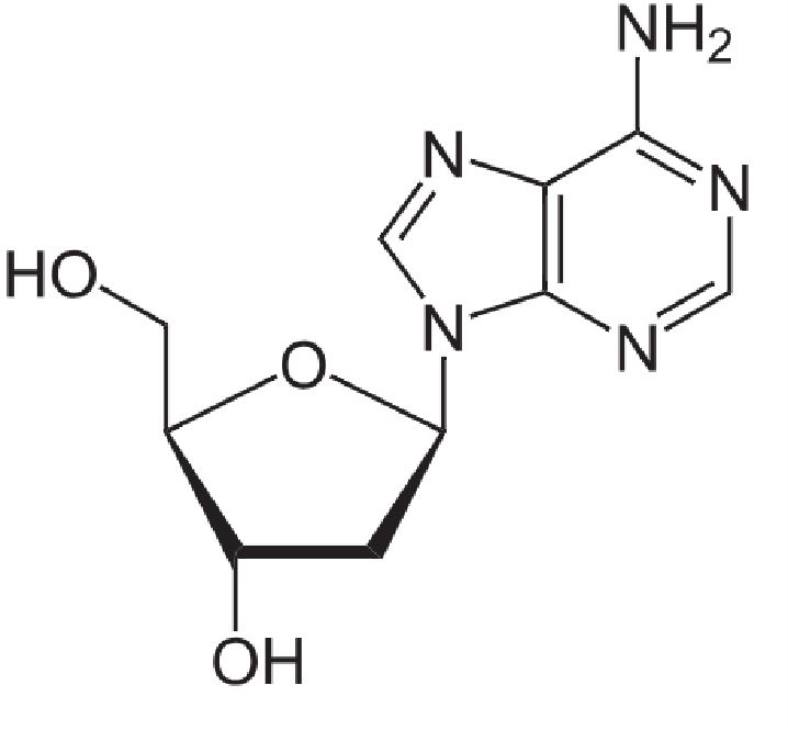 1833676566518419456-TheStructureof2'-deoxyadenosine.png