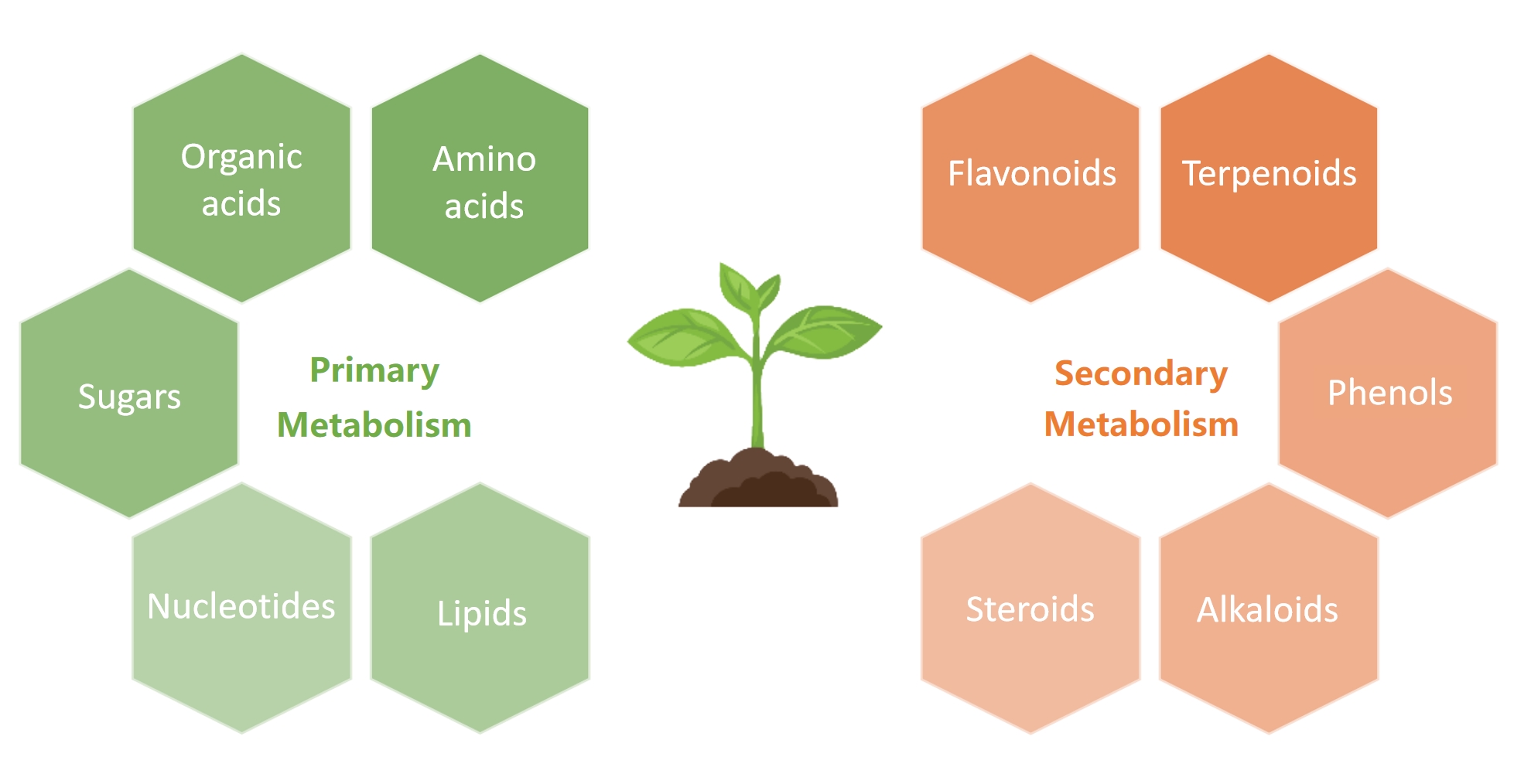 1833405181497823232-AdvancedPlantMetabolomicsServicesHarnessingLC-MSMSforComprehensiveMetabolicProfiling1.jpg