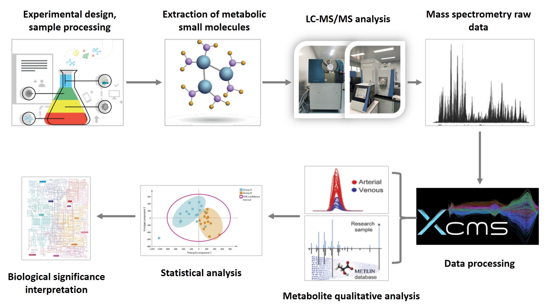 1833705832622706688-UntargetedMetabolomicsPlusAnalysisService-ANewBreakthroughinMetabolomics1.jpg