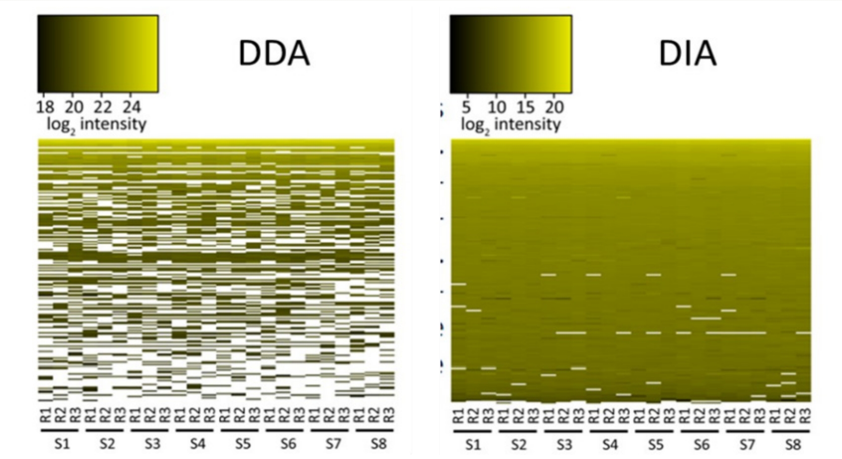 1834411113463795712-UnlockingProteomicswithDIATechnologyTheFutureofHigh-ResolutionProteinAnalysis1.jpg