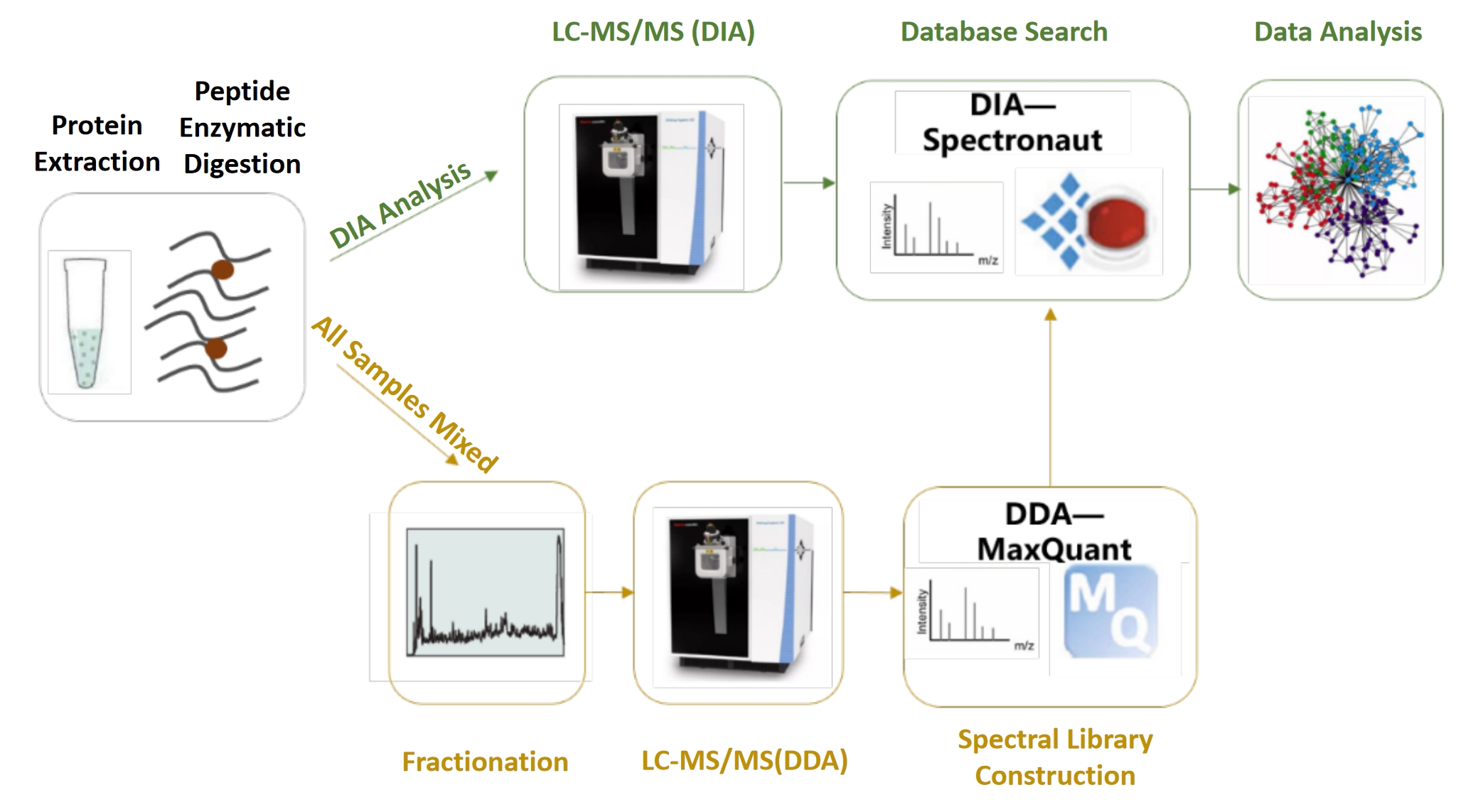 1834422746714066944-UnlockingProteomicsWithDiaTechnologyTheFutureofHigh-ResolutionProteinAnalysis6.jpg