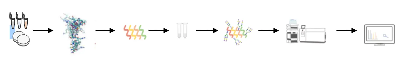 1834405962814402560-comprehensive-glycosylation-analysis1.png