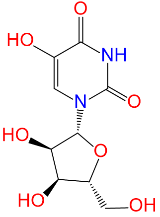 1834787322123112448-TheStructureof5-hydroxyuridine.png