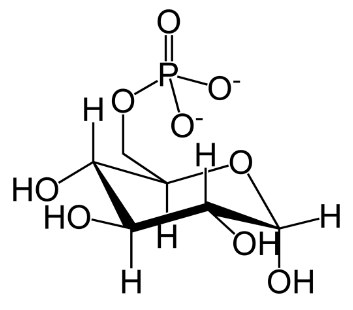 1836279945891532800-TheStructureofGlucose-6-phosphate.png