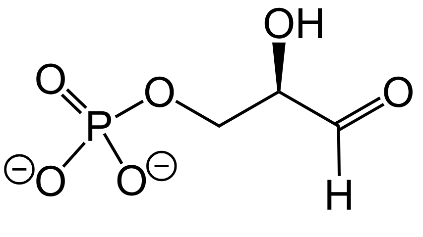 1836602038684340224-TheStructureofGAP.png