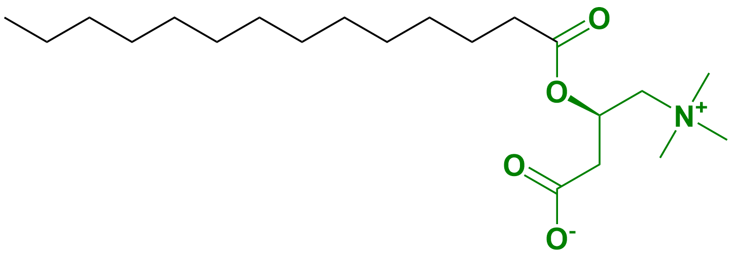 1836280478652026880-TheStructureofMyristoyl-L-Carnitine.png