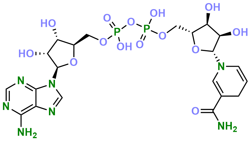 1836573688951590912-TheStructureofNADH.png