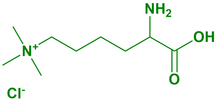 1836960113521971200-TheStructureofH-LysMe-OHChlorideHydrochlorideSalt.png