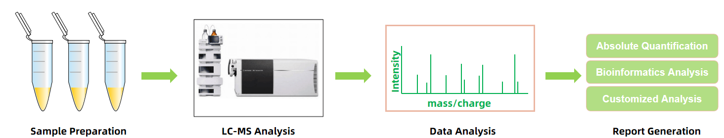 1836960158514270208-WorkflowofH-LysMe-OHChlorideHydrochlorideSaltAnalysisService.PNG