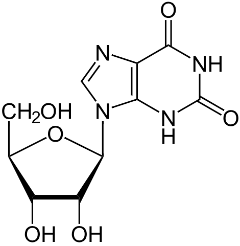 1836973592823844864-TheStructureofXanthosine.png
