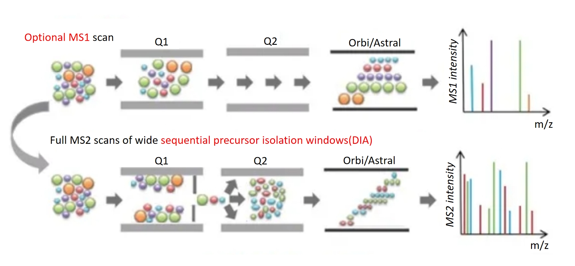 1837067317767950336-AstralDIAAccurateandefficientquantitativeproteomicssolution1.jpg