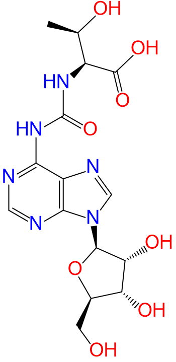 1838083710319710208-TheStructureofN6-threonylcarbamoyladenosine.png