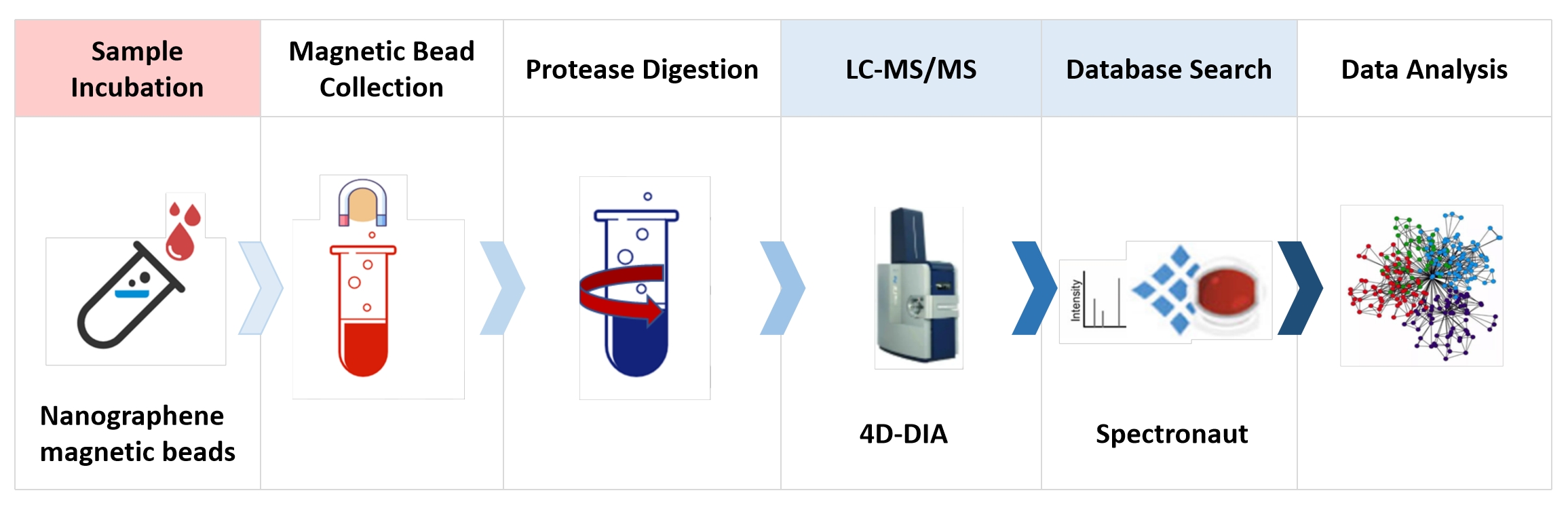 1838426782576529408-MtoZBiolabsDeepBlood4D-DIAProteomicsService1.jpg