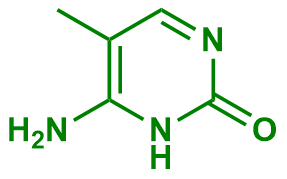 1838865015600959488-TheStructureof5-Methylcytosine.png