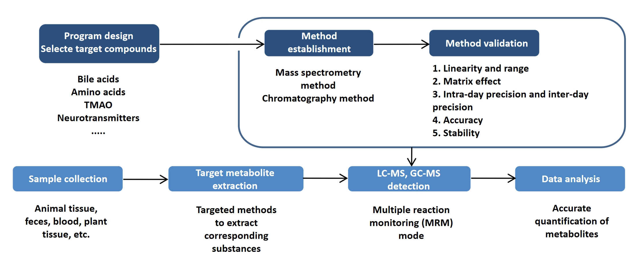 1838882736992538624-MtoZBiolabsMetabolomicsSolutionsOverview4.jpg