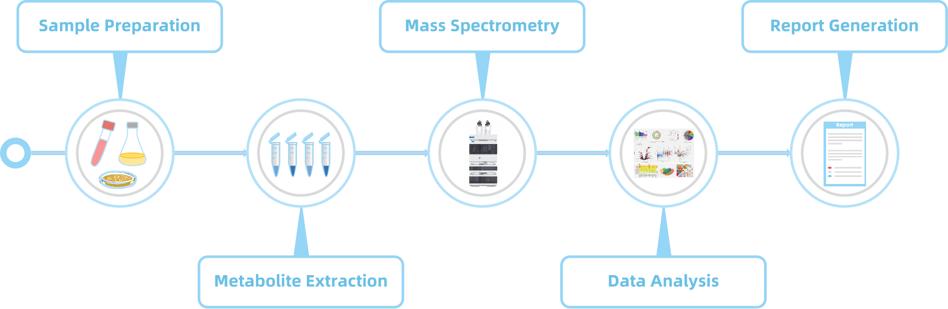 1839492625376858112-Workflowfor2'-O-methylguanosineAnalysisService.png