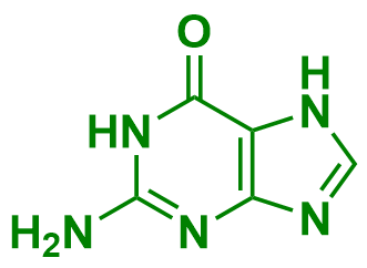 1839494339442102272-TheStructureofGuanine.png