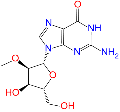 1839498190433931264-TheStructureof2'-O-methylguanosine.png