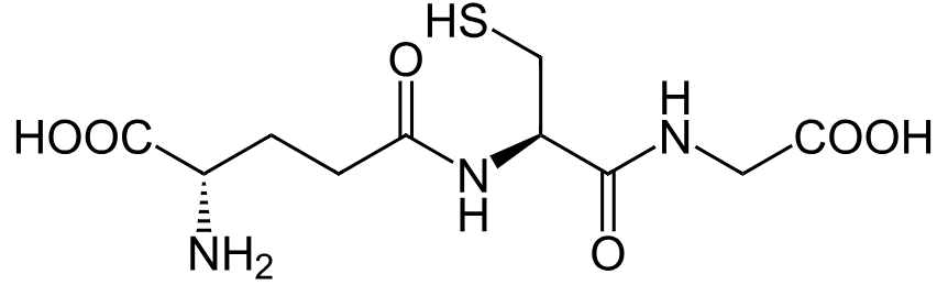 1840596433788063744-TheStructureofGSH.png