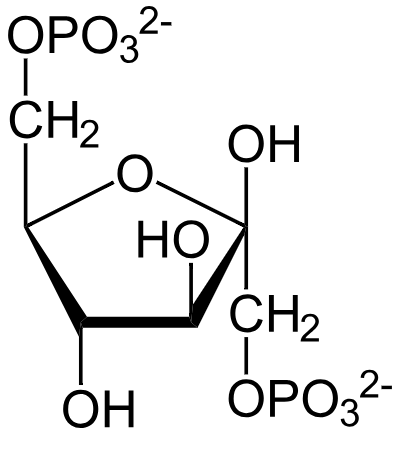 1843480275599347712-TheStructureofFBP.png