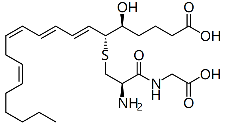 1843891622589878272-TheStructureof5S-hydroxy-6R-S-cysteinylglycinyl-7E,9E,11Z,14Z-eicosatetraenoicAcid.png
